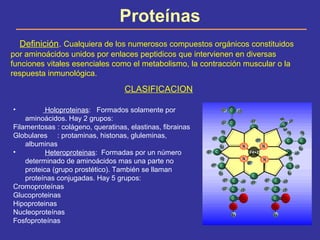 Proteínas
Definición. Cualquiera de los numerosos compuestos orgánicos constituidos
por aminoácidos unidos por enlaces pep...