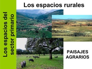 Los espacios del sector primario Los espacios rurales PAISAJES AGRARIOS 