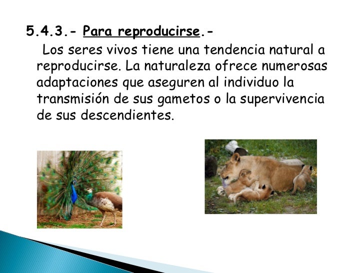 Tema 5.- Los seres vivos y el medio