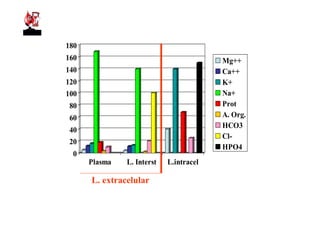 180
160                                      Mg++
140                                      Ca++
120                                      K+
100                                      Na+
 80                                      Prot
 60                                      A. Org.
                                         HCO3
 40
                                         Cl-
 20
                                         HPO4
  0
      Plasma   L. Interst   L.intracel

      L. extracelular
 