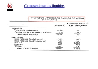 Compartimentos líquidos
 