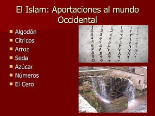 El Islam: Aportaciones al mundo Occidental Algodón Cítricos Arroz Seda Azúcar Números El Cero 