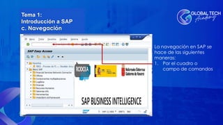Programa De Sap INTRODUCCIÓN A SAP - PROGRAMA DE CERTIFICACIÓN DE KEY USER | PDF