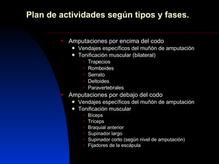 Plan de actividades según tipos y fases. <ul><li>Amputaciones por encima del codo </li></ul><ul><ul><li>Vendajes específic...