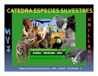 Médico Veterinario Zootecnista KARL ADOLF CIUODERIS A.