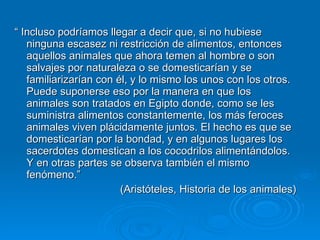 “  Incluso podríamos llegar a decir que, si no hubiese ninguna escasez ni restricción de alimentos, entonces aquellos animales que ahora temen al hombre o son salvajes por naturaleza o se domesticarían y se familiarizarían con él, y lo mismo los unos con los otros. Puede suponerse eso por la manera en que los animales son tratados en Egipto donde, como se les suministra alimentos constantemente, los más feroces animales viven plácidamente juntos. El hecho es que se domesticarían por la bondad, y en algunos lugares los sacerdotes domestican a los cocodrilos alimentándolos. Y en otras partes se observa también el mismo fenómeno.” (Aristóteles, Historia de los animales) 