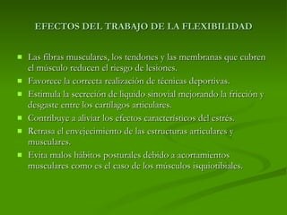 EFECTOS DEL TRABAJO DE LA FLEXIBILIDAD Las fibras musculares, los tendones y las membranas que cubren el músculo reducen el riesgo de lesiones. Favorece la correcta realización de técnicas deportivas. Estimula la secreción de liquido sinovial mejorando la fricción y desgaste entre los cartílagos articulares. Contribuye a aliviar los efectos característicos del estrés. Retrasa el envejecimiento de las estructuras articulares y musculares. Evita malos hábitos posturales debido a acortamientos musculares como es el caso de los músculos isquiotibiales. 