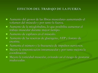 EFECTOS DEL TRABAJO DE LA FUERZA Aumento del grosor de las fibras musculares aumentando el volumen del músculo y por tanto la fuerza. Aumento de la mioglobulina, lo que posibilita aumentar el trabajo muscular durante mayor tiempo. Aumento de capilares en el músculo. Aumento de las reservas de glucógeno, ATP y fostato de creatina. Aumenta el número y la frecuencia de impulsos nerviosos. Mejora la sincronización intramuscular y por tanto mejora la coordinación. Mejora la tonicidad muscular, evitando así el riesgo de posturas inadecuadas. 
