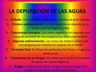 LA DEPURACIÓN DE LAS AGUAS
1. Cribado. Grandes filtros retienen los objetos de gran tamaño.
2. Primera sedimentación. La meteria sólida se deposita en el
fondo y forma fangos o lodos.
3. Tratamiento biológico. Los restos orgánicos sin digeridos por
una gran cantidad de microorganismos descomponedores.
4. Segunda sedimentación. Los restos de materia sólida y los
microorganismos muertos se separan en el fondo.
5. Tamizado final. Se filtran las partículas más finas y el agua se
vierte al río.
6. Tratamiento de los fangos. Se tratan para eliminar el máximo
de agua y de restos orgánicos.
7. Biogás. El tratamiento de los fangos produce un gas que
puede ser empleado como combustible.
 