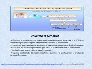 CONCEPTO DE PATOGENIA:
-Su finalidad es estudiar acontecimientos que se desencadenan a partir de la acción de un
factor etiológico y que llegan hasta la manifestación de la enfermedad.
-La patogenia o nosogenia es la secuencia de sucesos que tienen lugar desde el momento
del contacto inicial de un agente etiológico hasta la expresión final de la enfermedad.
-Estudia el origen y desarrollo de las enfermedades.
-Patogenia: es el estudio de mecanismos físicos químico, etc que llevaron a la producción
de una enfermedad.
http://www.vet.unicen.edu.ar/html/Areas/Virologia/Documentos/Cd/Virologia%Sevilla/03_patogenia_viral.pdf( fecha de consulta:21/sep./2015, 18:08)
 