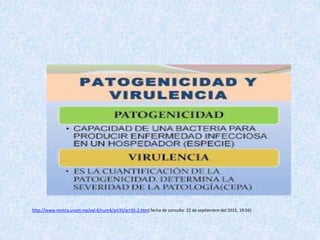 http://www.revista.unam.mx/vol.6/num4/art35/art35-2.htm( fecha de consulta: 22 de septiembre del 2015, 19:56)
 