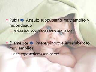 • Pubis  Angulo subpubiano muy ámplio y
redondeado
– ramas isquiopubianas muy arqueadas
• Diámetros  Interespinoso e intertuberoso
muy amplios
– anteroposteriores son cortos
 