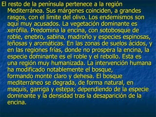 El resto de la península pertenece a la región
   Mediterránea. Sus márgenes coinciden, a grandes
   rasgos, con el límite del olivo. Los endemismos son
   aquí muy acusados. La vegetación dominante es
   xerófila. Predomina la encina, con sotobosque de
   roble, enebro, sabina, madroño y especies espinosas,
   leñosas y aromáticas. En las zonas de suelos ácidos, y
   en las regiones frías, donde no prospera la encina, la
   especie dominante es el roble y el rebollo. Esta es
   una región muy humanizada. La intervención humana
   ha modificado notablemente el bosque,
   formando monte claro y dehesa. El bosque
   mediterráneo se degrada, de forma natural, en
   maquis, garriga y estepa; dependiendo de la especie
   dominante y la densidad tras la desaparición de la
   encina.
 