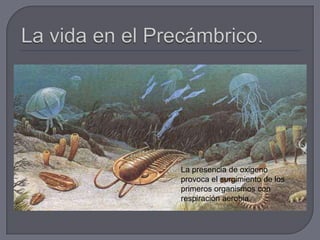 La presencia de oxigeno
provoca el surgimiento de los
primeros organismos con
respiración aerobia.
 