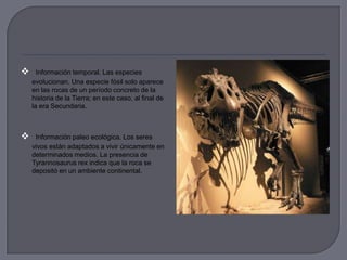  Información temporal. Las especies
evolucionan. Una especie fósil solo aparece
en las rocas de un período concreto de la
historia de la Tierra; en este caso, al final de
la era Secundaria.
 Información paleo ecológica. Los seres
vivos están adaptados a vivir únicamente en
determinados medios. La presencia de
Tyrannosaurus rex indica que la roca se
depositó en un ambiente continental.
 