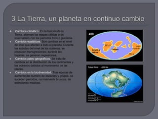  Cambios climático. En la historia de la
Tierra, alternan las etapas cálidas o de
invernadero con los períodos fríos o glaciares
 Cambios eustáticos. Son cambios en el nivel
del mar que afectan a todo el planeta. Durante
las subidas del nivel de los océanos, se
producen transgresiones; durante las
bajadas, se generan regresiones.
 Cambios paleo geográficos. Se trata de
cambios en la distribución de los continentes y
los océanos debidos al movimiento de las
placas.
 Cambios en la biodiversidad. Tras épocas de
aumento del numero de especies y grupos, se
suceden periodos, normalmente bruscos, de
extinciones masivas.
 