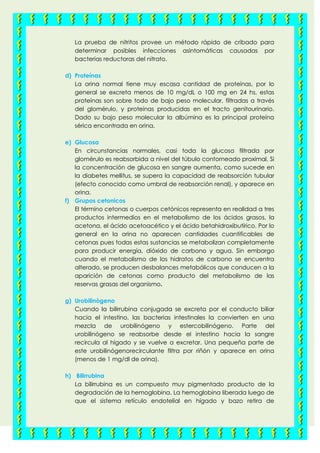 La prueba de nitritos provee un método rápido de cribado para
determinar posibles infecciones asintomáticas causadas por
bacterias reductoras del nitrato.
d) Proteínas
La orina normal tiene muy escasa cantidad de proteínas, por lo
general se excreta menos de 10 mg/dL o 100 mg en 24 hs, estas
proteínas son sobre todo de bajo peso molecular, filtradas a través
del glomérulo, y proteínas producidas en el tracto genitourinario.
Dado su bajo peso molecular la albúmina es la principal proteína
sérica encontrada en orina.
e) Glucosa
En circunstancias normales, casi toda la glucosa filtrada por
glomérulo es reabsorbida a nivel del túbulo contorneado proximal. Si
la concentración de glucosa en sangre aumenta, como sucede en
la diabetes mellitus, se supera la capacidad de reabsorción tubular
(efecto conocido como umbral de reabsorción renal), y aparece en
orina.
f) Grupos cetonicos
El término cetonas o cuerpos cetónicos representa en realidad a tres
productos intermedios en el metabolismo de los ácidos grasos, la
acetona, el ácido acetoacético y el ácido betahidroxibutírico. Por lo
general en la orina no aparecen cantidades cuantificables de
cetonas pues todas estas sustancias se metabolizan completamente
para producir energía, dióxido de carbono y agua. Sin embargo
cuando el metabolismo de los hidratos de carbono se encuentra
alterado, se producen desbalances metabólicos que conducen a la
aparición de cetonas como producto del metabolismo de las
reservas grasas del organismo.
g) Urobilinògeno
Cuando la bilirrubina conjugada se excreta por el conducto biliar
hacia el intestino, las bacterias intestinales la convierten en una
mezcla de urobilinógeno y estercobilinógeno. Parte del
urobilinógeno se reabsorbe desde el intestino hacia la sangre
recircula al hígado y se vuelve a excretar. Una pequeña parte de
este urobilinógenorecirculante filtra por riñón y aparece en orina
(menos de 1 mg/dl de orina).
h) Bilirrubina
La bilirrubina es un compuesto muy pigmentado producto de la
degradación de la hemoglobina. La hemoglobina liberada luego de
que el sistema retículo endotelial en hígado y bazo retira de
 