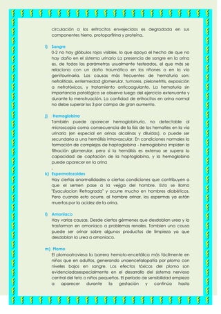 circulación a los eritrocitos envejecidos es degradada en sus
componentes hierro, protoporfirina y proteína.
i) Sangre
0-2 no hay glóbulos rojos visibles, lo que apoya el hecho de que no
hay daño en el sistema urinario La presencia de sangre en la orina
es, de todos los parámetros usualmente testeados, el que más se
relaciona con un daño traumático en los riñones o en la vía
genitourinaria. Las causas más frecuentes de hematuria son:
nefrolitiasis, enfermedad glomerular, tumores, pielonefritis, exposición
a nefrotóxicos, y tratamiento anticoagulante. La hematuria sin
importancia patológica se observa luego del ejercicio extenuante y
durante la menstruación. La cantidad de eritrocitos en orina normal
no debe superar los 3 por campo de gran aumento.
j) Hemoglobina
También puede aparecer hemoglobinuria, no detectable al
microscopio como consecuencia de la lísis de los hematíes en la vía
urinaria (en especial en orinas alcalinas y diluídas), o puede ser
secundaria a una hemólisis intravascular. En condiciones normales la
formación de complejos de haptoglobina - hemoglobina impiden la
filtración glomerular, pero si la hemólisis es extensa se supera la
capacidad de captación de la haptoglobina, y la hemoglobina
puede aparecer en la orina
.
k) Espermatozoides
Hay ciertas anormalidades o ciertas condiciones que contribuyen a
que el semen pase a la vejiga del hombre. Esto se llama
"Eyaculacion Retrograda" y ocurre mucho en hombres diabéticos.
Pero cuando esto ocurre, al hombre orinar, los espermas ya están
muertos por la acidez de la orina.
l) Amoniaco
Hay varias causas. Desde ciertos gérmenes que desdoblan urea y la
trasforman en amoniaco a problemas renales. Tambien una causa
puede ser orinar sobre algunos productos de limpieza ya que
desdoblan la urea a amoniaco.
m) Plomo
El plomoatraviesa la barrera hemato-encefálica más fácilmente en
niños que en adultos, generando unaencefalopatía por plomo con
niveles bajos en sangre. Los efectos tóxicos del plomo son
evidenciadosespecialmente en el desarrollo del sistema nervioso
central del feto o niños pequeños. El período de sensibilidad empieza
a aparecer durante la gestación y continúa hasta
 