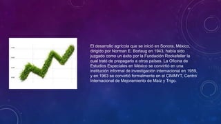 El desarrollo agrícola que se inició en Sonora, México,
dirigido por Norman E. Borlaug en 1943, había sido
juzgado como un éxito por la Fundación Rockefeller la
cual trató de propagarlo a otros países. La Oficina de
Estudios Especiales en México se convirtió en una
institución informal de investigación internacional en 1959,
y en 1963 se convirtió formalmente en el CIMMYT, Centro
Internacional de Mejoramiento de Maíz y Trigo.
 