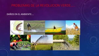 PROBLEMAS DE LA REVOLUCION VERDE…..
DAÑOS EN EL AMBIENTE….
 