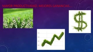 MAYOR PRODUCTIVIDAD, MEJORES GANANCIAS….
 