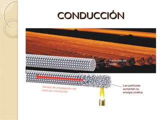 CONDUCCIÓNCONDUCCIÓN
 