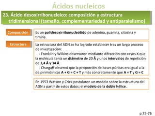 Ácidos nucleicos
p.75-76
23. Ácido desoxirribonucleico: composición y estructura
tridimensional (tamaño, complementariedad y antiparalelismo)
Composición Es un polidesoxirribonucleótido de adenina, guanina, citosina y
timina.
Estructura La estructura del ADN se ha logrado establecer tras un largo proceso
de investigación:
- Franklin y Wilkins observaron mediante difracción con rayos X que
la molécula tenía un diámetro de 20 Å y unos intervalos de repetición
de 3,4 Å y 34 Å.
- Chargaff observó que la proporción de bases púricas era igual a la
de pirimidínicas A + G = C + T y más concretamente que A = T y G = C
En 1953 Watson y Crick postularon un modelo sobre la estructura del
ADN a partir de estos datos; el modelo de la doble hélice.
 