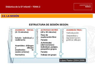 Didáctica de la EF Infantil – TEMA 2
2.6. LA SESIÓN
ESTRUCTURA DE SESIÓN SEGÚN:
 