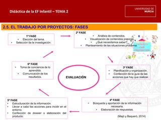 Didáctica de la EF Infantil – TEMA 2
2.5. EL TRABAJO POR PROYECTOS: FASES
1ª FASE
• Elección del tema.
• Selección de la investigación.
2ª FASE
• Análisis de contenidos.
• Visualización de contenidos previos.
• ¿Qué necesitamos saber?
• Planteamiento de las situaciones problema.
3ª FASE
• Planificación y organización.
• Confección de la guía de las
acciones que hay que realizar.
4ª FASE
• Búsqueda y aportación de la información
necesaria.
• Elaboración de respuestas.
5ª FASE
• Estructuración de la información.
• Llevar a cabo las acciones para incidir en el
entorno.
• Confección de dossier o elaboración del
producto.
6ª FASE
• Toma de conciencia de lo
aprendido.
• Comunicación de los
resultados. EVALUACIÓN
(Majó y Baqueró, 2014)
 