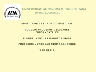 D I V I S I O N D E C B S T R O N C O D I V I S I O N AL
M O D U L O : P R O C E S O S C E L U L AR E S
F U N D AM E N TAL E S
AL U M N A: V E N T U R A M AQ U E D A D I AN A
P R O F E S O R : J O R G E AM É Z Q U I TA L AN D E R O S
2 3 / 0 9 / 2 0 1 5
UNIVERSIDAD AUTONOMA METROPOLITANA
UNIDAD XOCHIMILCO
 