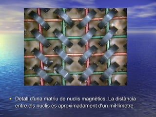 • Detall d'una matriu de nuclis magnètics. La distància
entre els nuclis és aproximadament d'un mil·límetre.

 