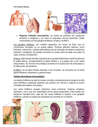 El Sistema Inmunológico | PDF