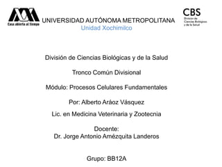 UNIVERSIDAD AUTÓNOMA METROPOLITANA
Unidad Xochimilco
División de Ciencias Biológicas y de la Salud
Tronco Común Divisional
Módulo: Procesos Celulares Fundamentales
Por: Alberto Aráoz Vásquez
Lic. en Medicina Veterinaria y Zootecnia
Docente:
Dr. Jorge Antonio Amézquita Landeros
Grupo: BB12A
 