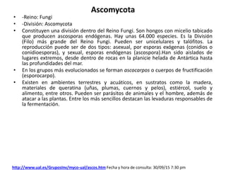 Ascomycota
• -Reino: Fungi
• -División: Ascomycota
• Constituyen una división dentro del Reino Fungi. Son hongos con micelio tabicado
que producen ascosporas endógenas. Hay unas 64.000 especies. Es la División
(Filo) más grande del Reino Fungi. Pueden ser unicelulares y talófitos. La
reproducción puede ser de dos tipos: asexual, por esporas exógenas (conidios o
conidioesporas), y sexual, esporas endógenas (ascospora).Han sido aislados de
lugares extremos, desde dentro de rocas en la planicie helada de Antártica hasta
las profundidades del mar.
• En los grupos más evolucionados se forman ascocarpos o cuerpos de fructificación
(esporocarpo).
• Existen en ambientes terrestres y acuáticos, en sustratos como la madera,
materiales de queratina (uñas, plumas, cuernos y pelos), estiércol, suelo y
alimento, entre otros. Pueden ser parásitos de animales y el hombre, además de
atacar a las plantas. Entre los más sencillos destacan las levaduras responsables de
la fermentación.
http://www.ual.es/GruposInv/myco-ual/ascos.htm Fecha y hora de consulta: 30/09/15 7:30 pm
 