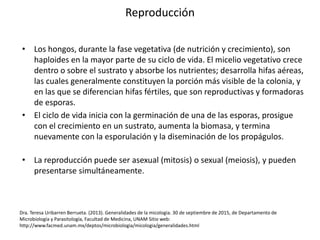 Reproducción
• Los hongos, durante la fase vegetativa (de nutrición y crecimiento), son
haploides en la mayor parte de su ciclo de vida. El micelio vegetativo crece
dentro o sobre el sustrato y absorbe los nutrientes; desarrolla hifas aéreas,
las cuales generalmente constituyen la porción más visible de la colonia, y
en las que se diferencian hifas fértiles, que son reproductivas y formadoras
de esporas.
• El ciclo de vida inicia con la germinación de una de las esporas, prosigue
con el crecimiento en un sustrato, aumenta la biomasa, y termina
nuevamente con la esporulación y la diseminación de los propágulos.
• La reproducción puede ser asexual (mitosis) o sexual (meiosis), y pueden
presentarse simultáneamente.
Dra. Teresa Uribarren Berrueta. (2013). Generalidades de la micologia. 30 de septiembre de 2015, de Departamento de
Microbiología y Parasitología, Facultad de Medicina, UNAM Sitio web:
http://www.facmed.unam.mx/deptos/microbiologia/micologia/generalidades.html
 