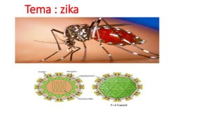 Tema : zika
 