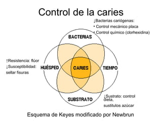 Control de la caries
Esquema de Keyes modificado por Newbrun
↓Bacterias cariógenas:
• Control mecánico placa
• Control químico (clorhexidina)
↑Resistencia: flúor
↓Susceptibilidad:
sellar fisuras
↓Sustrato: control
dieta,
sustitutos azúcar
 