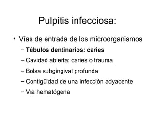Pulpitis infecciosa:
• Vías de entrada de los microorganismos
– Túbulos dentinarios: caries
– Cavidad abierta: caries o trauma
– Bolsa subgingival profunda
– Contigüidad de una infección adyacente
– Vía hematógena
 