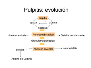 Pulpitis: evolución
pulpitis
aguda crónica
necrosis
Periodontitis apicalhipercementosis
Granuloma periapical
Osteítis condensante
Absceso alveolarcelulitis
osteomielitis
Angina de Ludwig
 