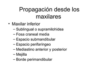 Propagación desde los
maxilares
• Maxilar inferior
– Sublingual o supramilohidea
– Fosa craneal media
– Espacio submandibular
– Espacio perifaríngeo
– Mediastino anterior y posterior
– Mejilla
– Borde perimandibular
 