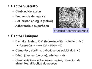 • Factor Sustrato
– Cantidad de azúcar
– Frecuencia de ingesta
– Solubilidad en agua (saliva)
– Adherencia a superficies
• Factor Huésped
– Esmalte: fosfato Ca2+
(hidroxiapatita) soluble pH<5
• Fosfato Ca2+
+ H+
-- Ca2+
+ PO4
3-
+ H2O
– Cemento y dentina: pH crítico de solubilidad > 5
– Edad: jóvenes (corona); adultos (raíz)
– Características individuales: saliva, retención de
alimentos, dificultad de acceso
Esmalte desmineralizado
 