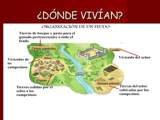 ¿DÓNDE VIVÍAN? 
