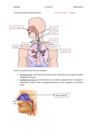 Biologia

La nutrició

El sistema respiratori esta format per:

Fosses nassals

Mábel García
Vies respiratòries

Pulmons

Faringe
Laringe

tràquea
pulmons
alveols

bronquíols
bronquis

Durant la respiració tenen lloc tres processos:
Filtració de l’aire: L’aire entra per les fosses nasals i les partícules en suspensió queden
retingudes en els pels.
Escalfament de l’aire: per evitar trastorns en el sistema respiratori l’aire a d’adquirir l
temperatura corporal. Això s’aconsegueix gràcies als vasos sanguinis de les fosses
nasals.

Aire
20ºC
Aire
11ºC

Vasos sanguinis
Aire
36ºC

 