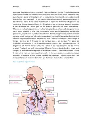 Biologia

La nutrició

Mábel García

estomacal degut als moviments estomacals i la secreció de sucs gàstrics. El resultat de aquesta
digestió transforma el bol alimentari en quim que circularà fins arribar al pílor (anell muscular)
que el deixarà passar a l’intestí prim on es produirà una altre digestió anomenada digestió
intestinal, on el suc pancreàtic i la bilis transformaran el quim en quil. Seguidament l’absorció
de nutrients a traves de les parets intestinals on es troben les microvellositats passaran els
nutrients al sistema circulatori. Les restes dels aliments que no han estat absorbits segueixen
el seu recorregut per l’intestí gros fins ser eliminats per l’anus en forma d’excrements.
M’entres es realitza la digestió també realitzo la inspiració que es la entrada d’oxigen a traves
de les fosses nasals on es filtre l’aire. Consisteix en retenir els microorganismes a traves dels
pels del nas, seguidament es produeix l’escalfament d’aire que es provoca quan l’aire entra en
contacte amb la mucosa que cobreix les fosses nassals, com que hi ha una abundant quantitat
de vasos sanguinis provoquen les temperatures altes. Continuació l’aire passa per la faringe, la
laringe i continua per la tràquea fins als bronquis, des de els bronquis l’aire passa als
bronquíols i a continuació va cap als alvèols pulmonars on tindrà lloc l’ intercanvi de gasos i el
oxigen que em inspirat travessa una paret i entra en els vasos sanguinis. Des de aquí es
produeix l’expiració que es l’ intercanvi del CO2 amb l’oxigen. Quant el co2 es canvia amb
l’oxigen i es troba als alvèols segueixen el recorregut a l’inversa i l’expulsem finalment. Durant
la inspiració la inspiració els músculs intercostals i el diafragma es contrauen, de manera que
augmenta el volum de la caixa toràfica. En l’expiració succeeix a l’inversa, el diafragma i els
músculs intercostals es relaxen de manera que disminueix el volum de la caixa torafica.
Posa les parts al següent dibuix:

Fosses nasals

faringe
laringe

Pels del nas

tràquea
Pulmons
Alvèols

bronquíols

bronquis

diafragma

 