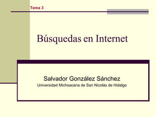 Búsquedas en Internet Salvador González Sánchez Universidad Michoacana de San Nicolás de Hidalgo Tema 3 