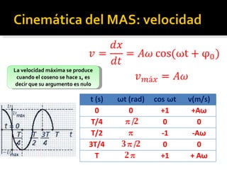 La velocidad máxima se produce cuando el coseno se hace 1, es decir que su argumento es nulo t (s) ω t (rad) cos   ω t v(m/s) 0 0 +1 +A ω T/4 π /2 0 0 T/2 π -1 -A ω 3T/4 3 π /2 0 0 T 2 π +1 + A ω 