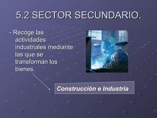 5.2 SECTOR SECUNDARIO. - Recoge las actividades industriales mediante las que se transforman los bienes. Construcción e Industria 