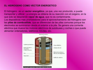 EL HIDROGENO COMO VECTOR ENERGETICO El hidrogeno  es un  vector energético , ya que, una vez producido, e puede  transportar y utilizar. La energía se obtiene de su reacción con el oxigeno, en la  que solo se desprende  vapor de agua , que no es contaminante. Los dispositivos mas prometedores para el aprovechamiento del hidrogeno son  las  pilas de combustible , que se diferencian de las pilas comunes porque los  electrodos se suministran desde el exterior a la pila. Se genera una corriente  eléctrica que mueve los motores eléctricos de autobuses y coches o que puede  alimentar ordenadores, teléfonos móviles, etc. 