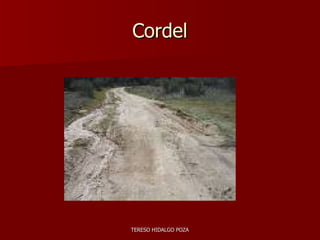 Cordel 
