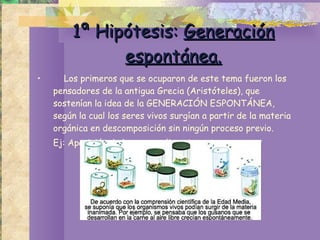 1ª Hipótesis:  Generación espontánea. Los primeros que se ocuparon de este tema fueron los pensadores de la antigua Grecia (Aristóteles), que sostenían la idea de la GENERACIÓN ESPONTÁNEA, según la cual los seres vivos surgían a partir de la materia orgánica en descomposición sin ningún proceso previo.  Ej: Aparición de larvas en alimentos, etc. 